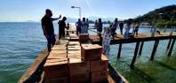 Defesa Civil realizou nessa semana a entrega de mais de 1000 cestas básicas nas ilhas do Paraná