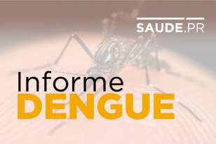 SAÚDE: Secretaria confirma 848 casos de dengue no Paraná