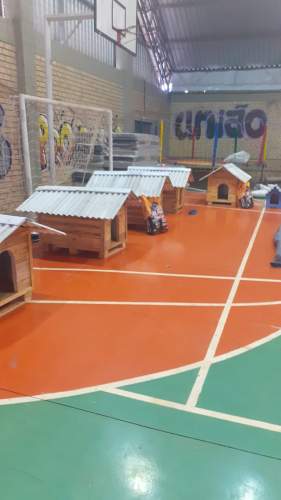 abrigo para animais