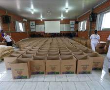 Paraná enviará alimentos, 144 mil copos de água da Sanepar e colchões ao Rio Grande do Sul