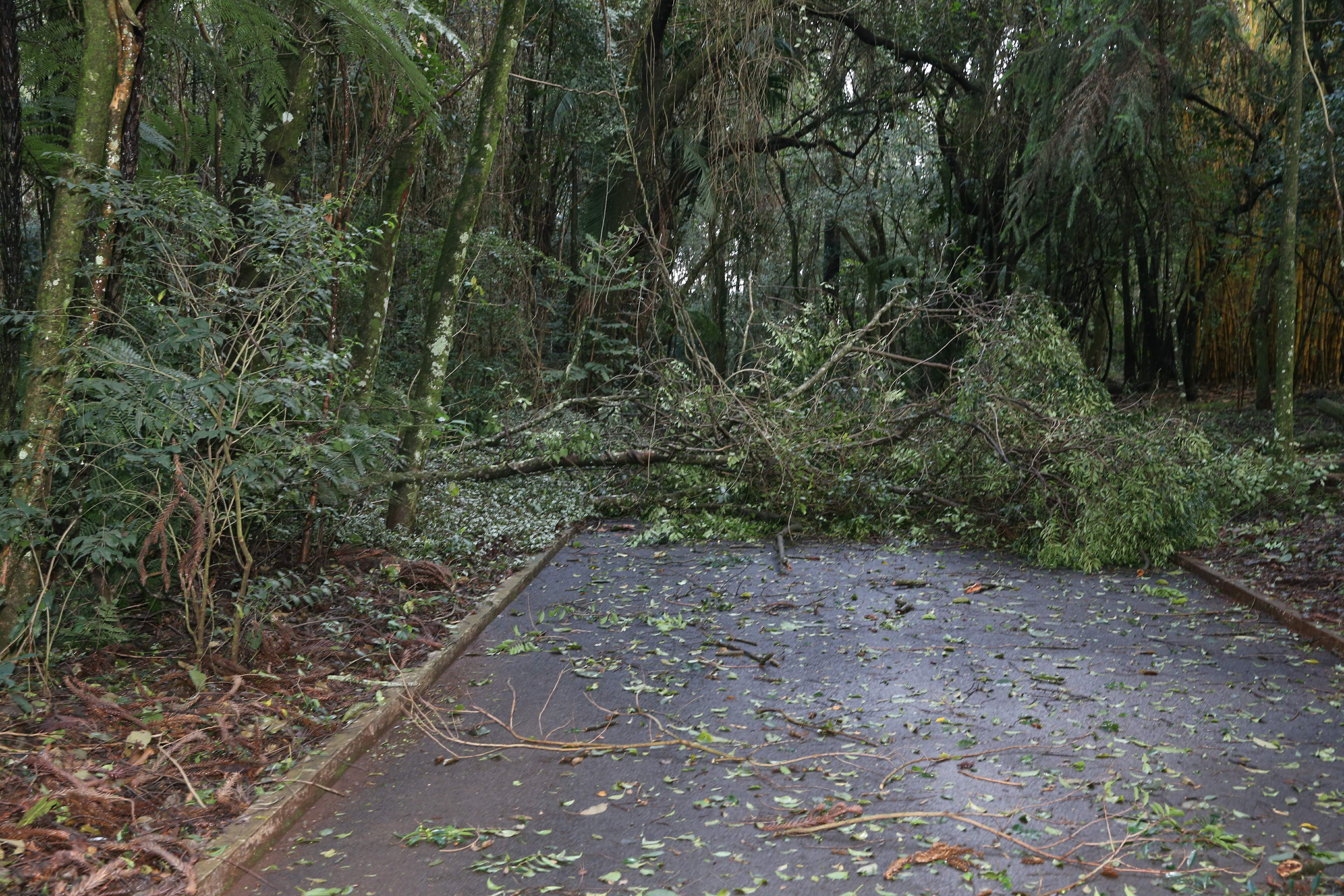 Ocorrências de desastres no Paraná diminuíram 37,6% em 2016