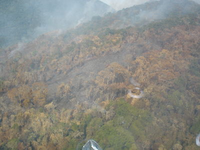 foto: Eugenio Celso Mello