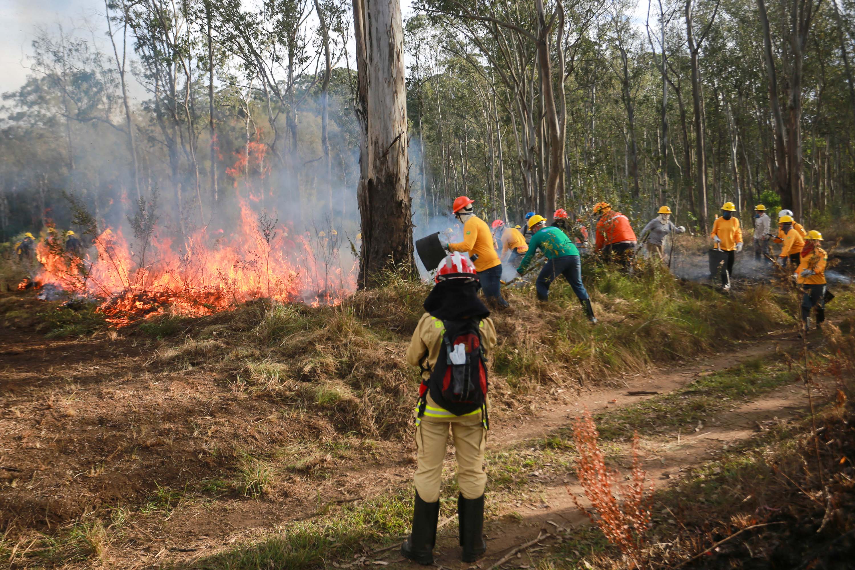 IAT capacita 65 voluntários para atuar em incêndios em Unidades de Conservação