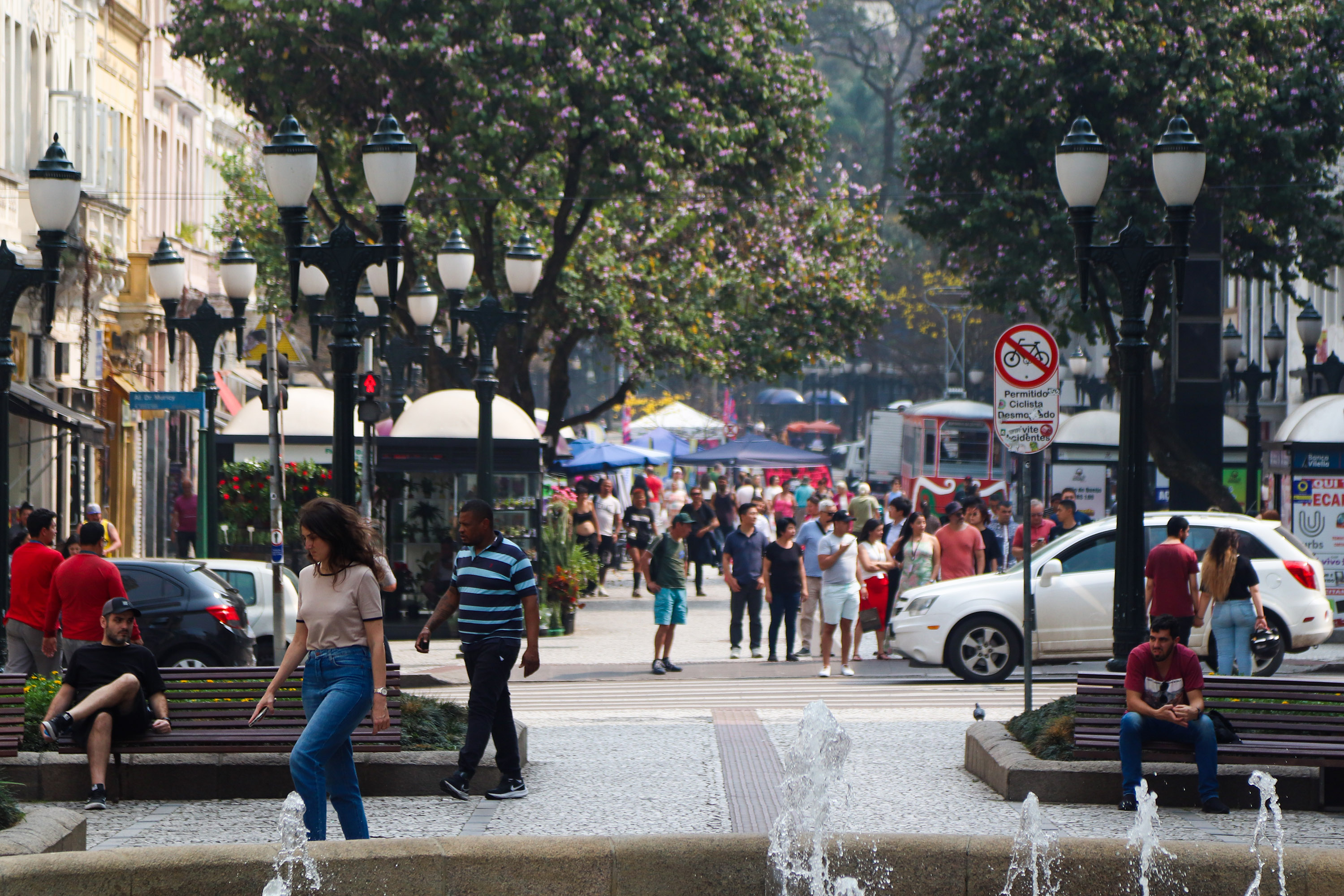 Estado de alerta: Paraná atinge momento mais crítico para casos de queimadas florestais