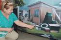 Programa Família Paranaense entra na guerra contra o Aedes aegypti
