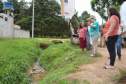 Programa Família Paranaense entra na guerra contra o Aedes aegypti