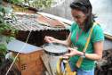 Municípios do Paraná intensificam ciclo de visitas a imóveis para combate ao Aedes aegypti 