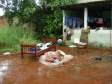londrina