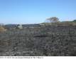 O Incêndio Ambiental aconteceu na Área do Parque Estadual de Vila Velha, em Ponta Grossa, tendo início ás 12h29min