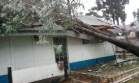 Ocorrência em Pinhão