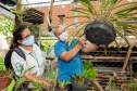 Gincana Todos contra a Dengue 
