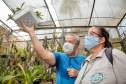 Gincana Todos contra a Dengue 