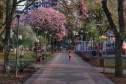 Parque