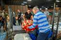 Governo do Paraná quer instituir Rede de Ajuda Humanitária com abrangência nacional