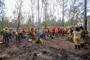 IAT capacita 65 voluntários para atuar em incêndios em Unidades de Conservação