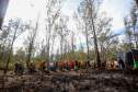 IAT capacita 65 voluntários para atuar em incêndios em Unidades de Conservação