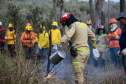 IAT capacita 65 voluntários para atuar em incêndios em Unidades de Conservação
