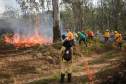 IAT capacita 65 voluntários para atuar em incêndios em Unidades de Conservação