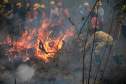 IAT capacita 65 voluntários para atuar em incêndios em Unidades de Conservação