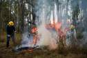 IAT capacita 65 voluntários para atuar em incêndios em Unidades de Conservação