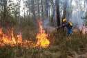 IAT capacita 65 voluntários para atuar em incêndios em Unidades de Conservação