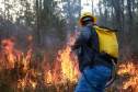 IAT capacita 65 voluntários para atuar em incêndios em Unidades de Conservação