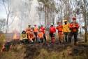 IAT capacita 65 voluntários para atuar em incêndios em Unidades de Conservação