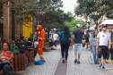 Estado de alerta: Paraná atinge momento mais crítico para casos de queimadas florestais