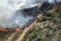 Avião contratado pelo Estado é acionado para combater incêndio florestal em Palmeira