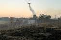 Incêndios florestais no Paraná caem 57% entre a primeira quinzena de setembro e outubro