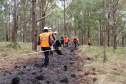 Governo do Paraná conclui capacitação de 540 brigadistas florestais em 100 municípios