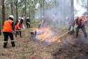 Voluntários podem se inscrever para curso de brigadista florestal