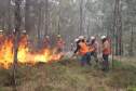 Voluntários podem se inscrever para curso de brigadista florestal