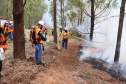 Voluntários podem se inscrever para curso de brigadista florestal