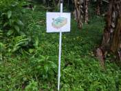 Coordenadoria Estadual da Defesa Civil realiza simulado para teste de protocolos de atendimento integrado