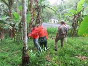 Coordenadoria Estadual da Defesa Civil realiza simulado para teste de protocolos de atendimento integrado