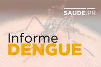 Morte Dengue