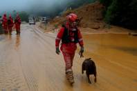 Forças de salvamento fazem nova varredura na BR-376 e não encontram vítimas