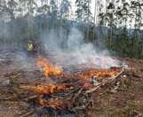 incendio florestal