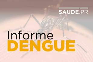 Dengue 