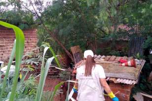 Estado repassa R$ 1,5 milhão a municípios para combate à dengue