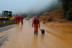 Forças de salvamento fazem nova varredura na BR-376 e não encontram vítimas