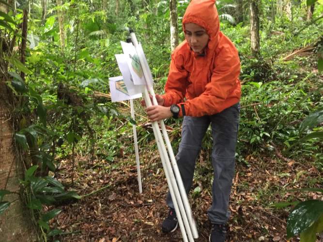 Coordenadoria Estadual da Defesa Civil realiza simulado para teste de protocolos de atendimento integrado
