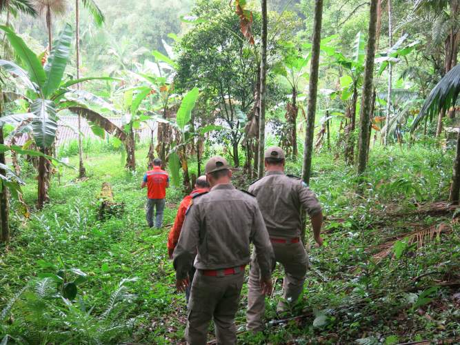 Coordenadoria Estadual da Defesa Civil realiza simulado para teste de protocolos de atendimento integrado