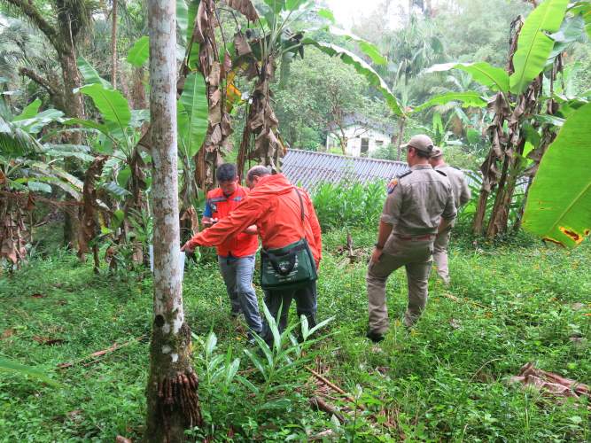Coordenadoria Estadual da Defesa Civil realiza simulado para teste de protocolos de atendimento integrado