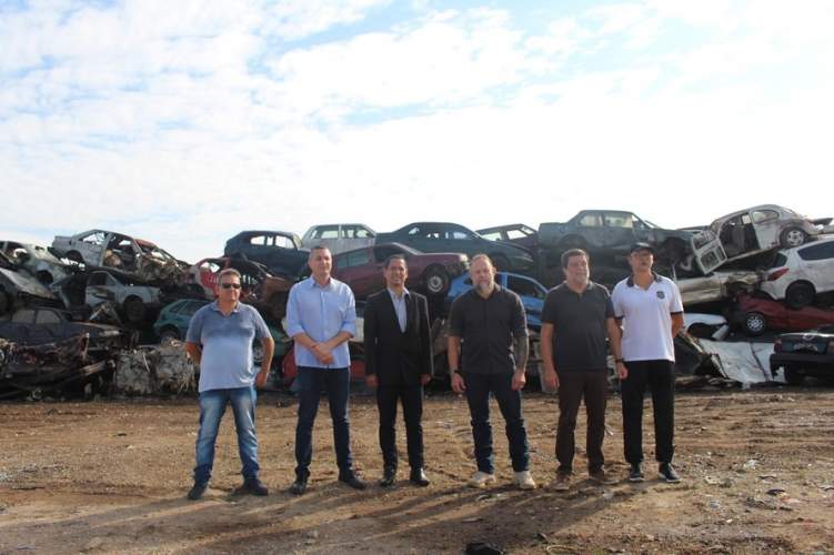 Carros Dengue