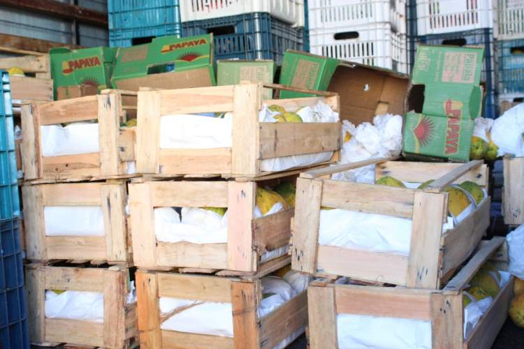 Defesa Civil auxilia na entrega de frutas e verduras para instituição de cuidado a criança