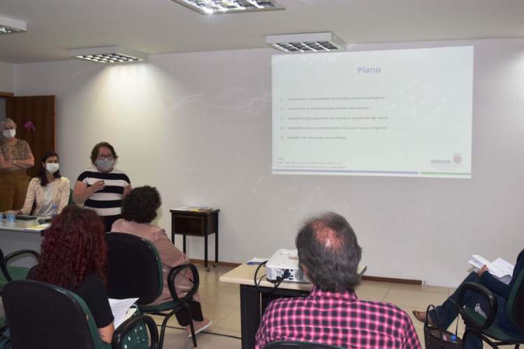 Governo apresenta plano de combate à dengue ao Ministério da Saúde