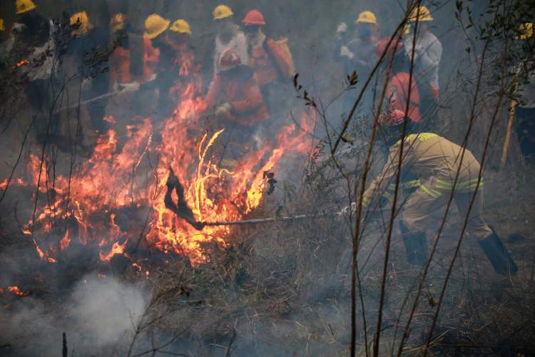 combatentes em incêndio florestal