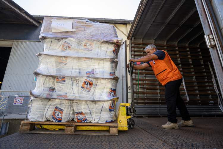 Foto: Arnaldo Neto/AEN